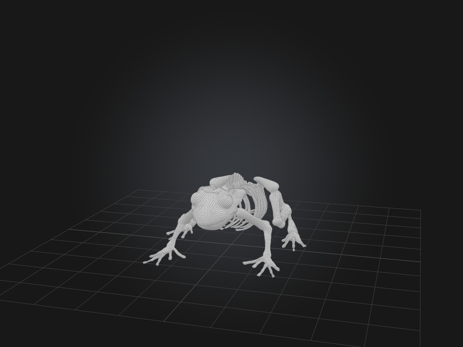 Realistic Frog Skeleton Model Low-poly 3D model_3