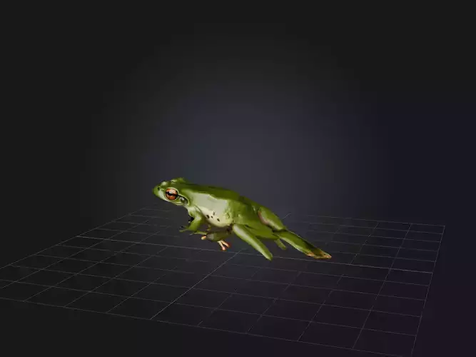 Realistic Frog Model