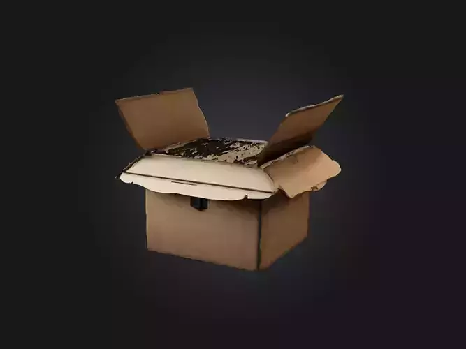 Realistic Filing Box Model