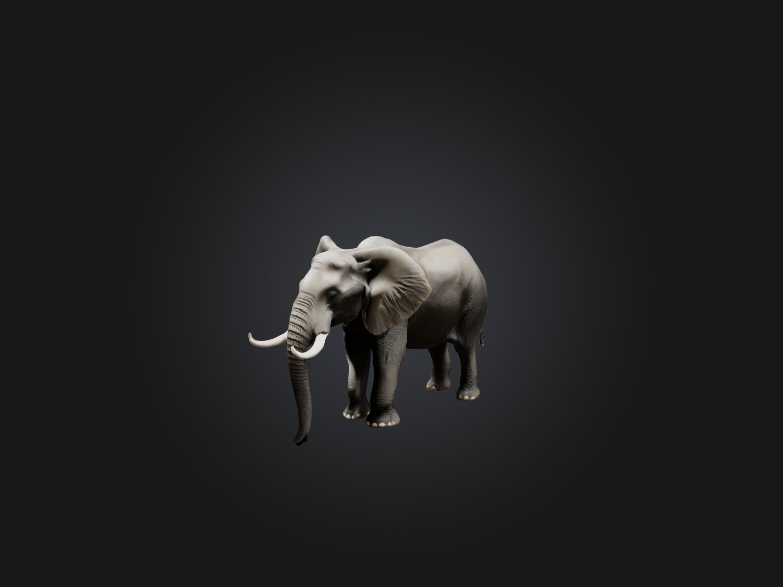 Realistic Elephant Model Low-poly 3D model_1