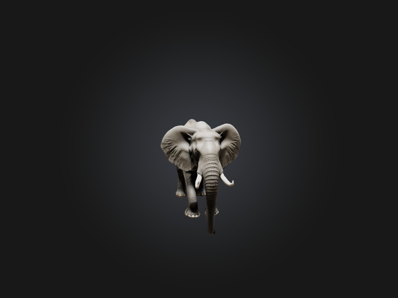Realistic Elephant Model Low-poly 3D model_5