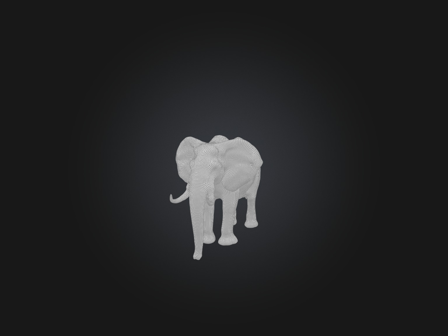 Realistic Elephant Model Low-poly 3D model_2