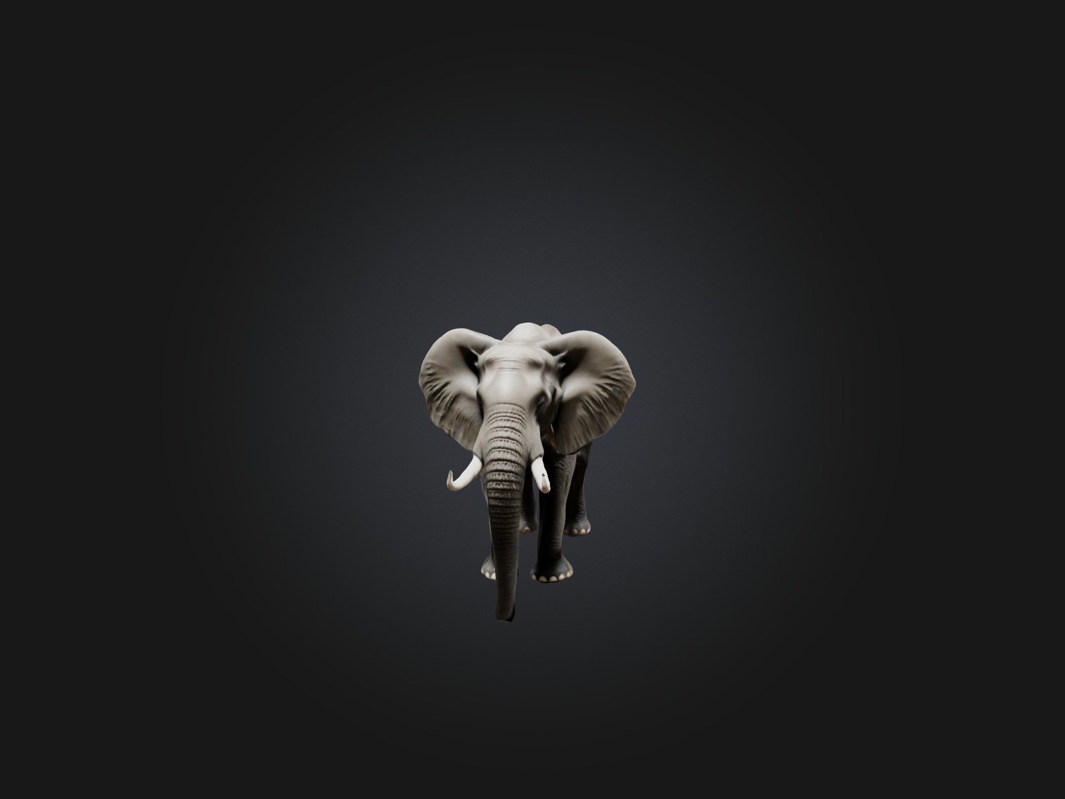 Realistic Elephant Model Low-poly 3D model_3