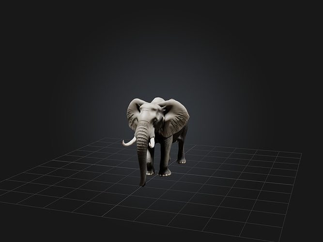 Realistic Elephant Model Low-poly 3D model