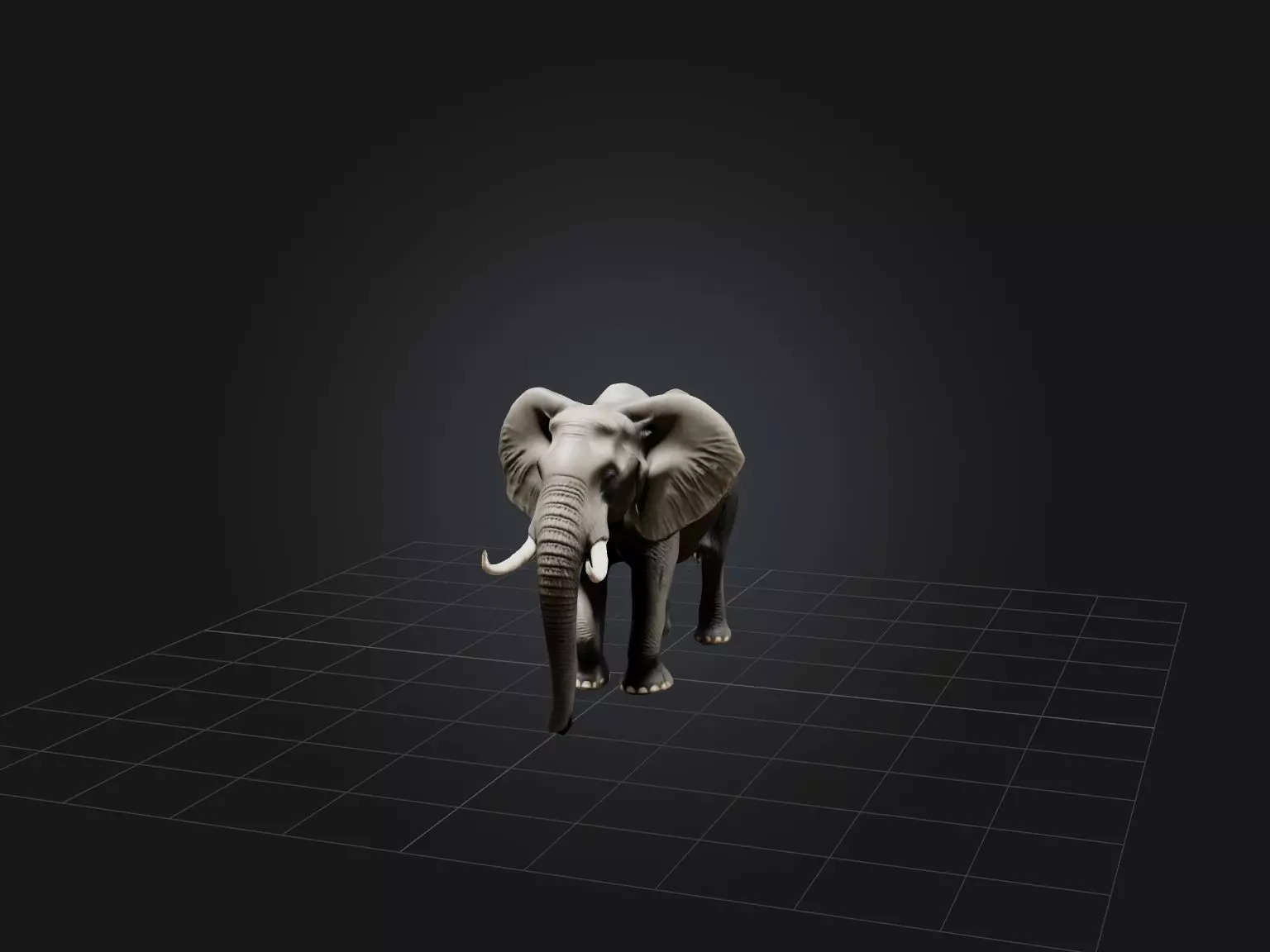Realistic Elephant Model Low-poly 3D model_0
