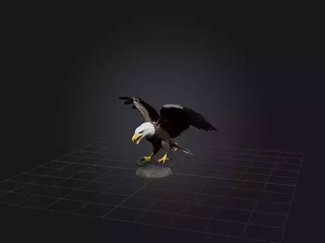 Realistic Eagle Model