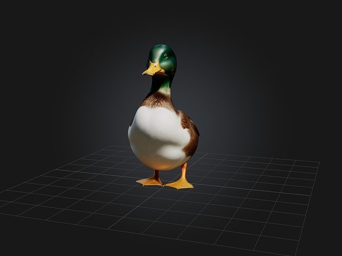 Realistic Duck Model Low-poly 3D model