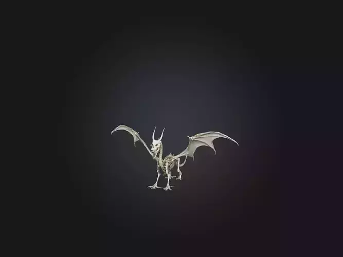 Realistic Dragon Skeleton Model