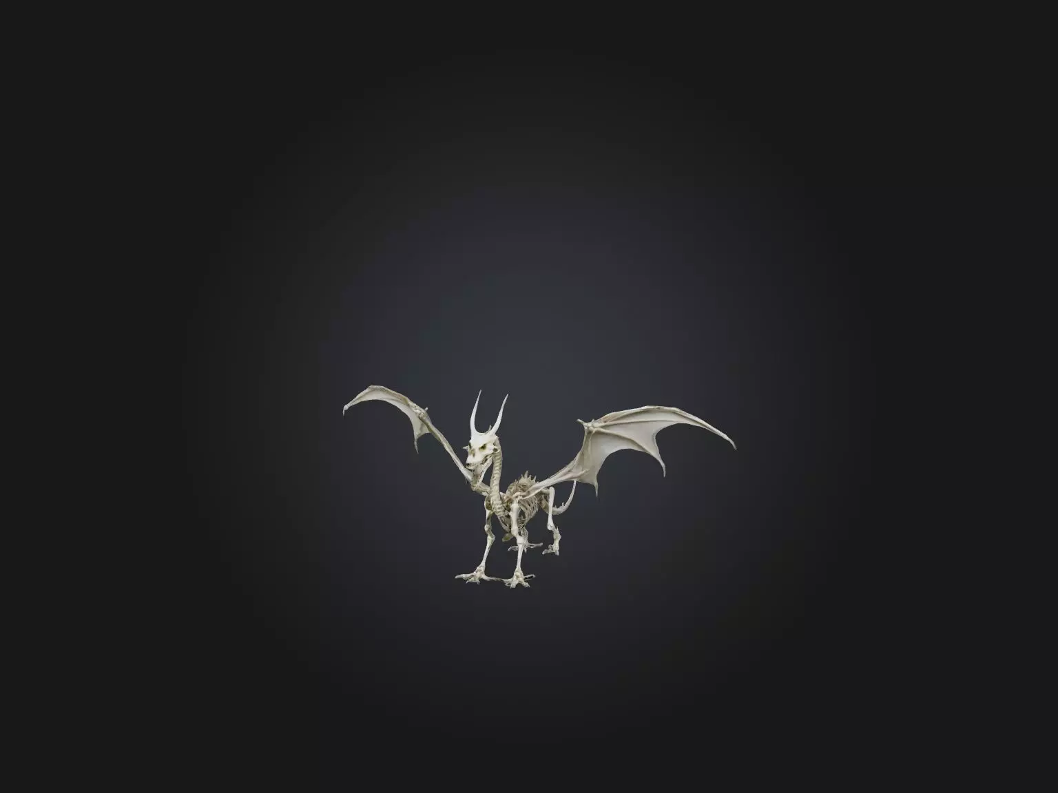 Realistic Dragon Skeleton Model Low-poly 3D model_0