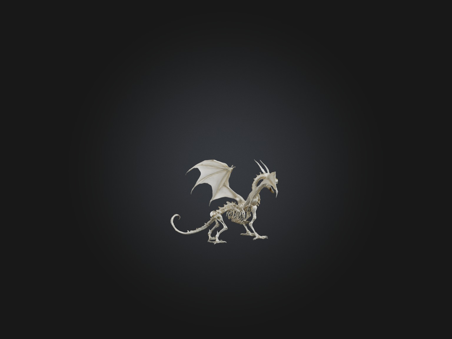 Realistic Dragon Skeleton Model Low-poly 3D model_7