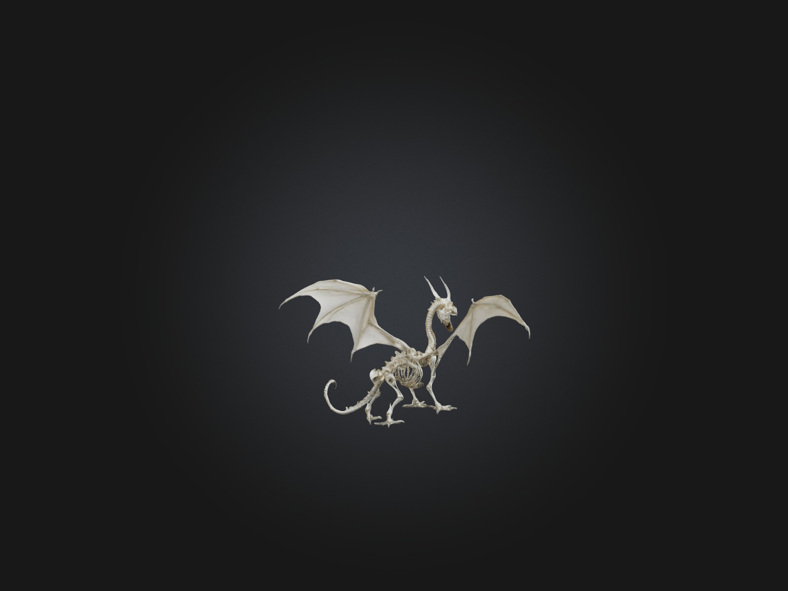 Realistic Dragon Skeleton Model Low-poly 3D model_8
