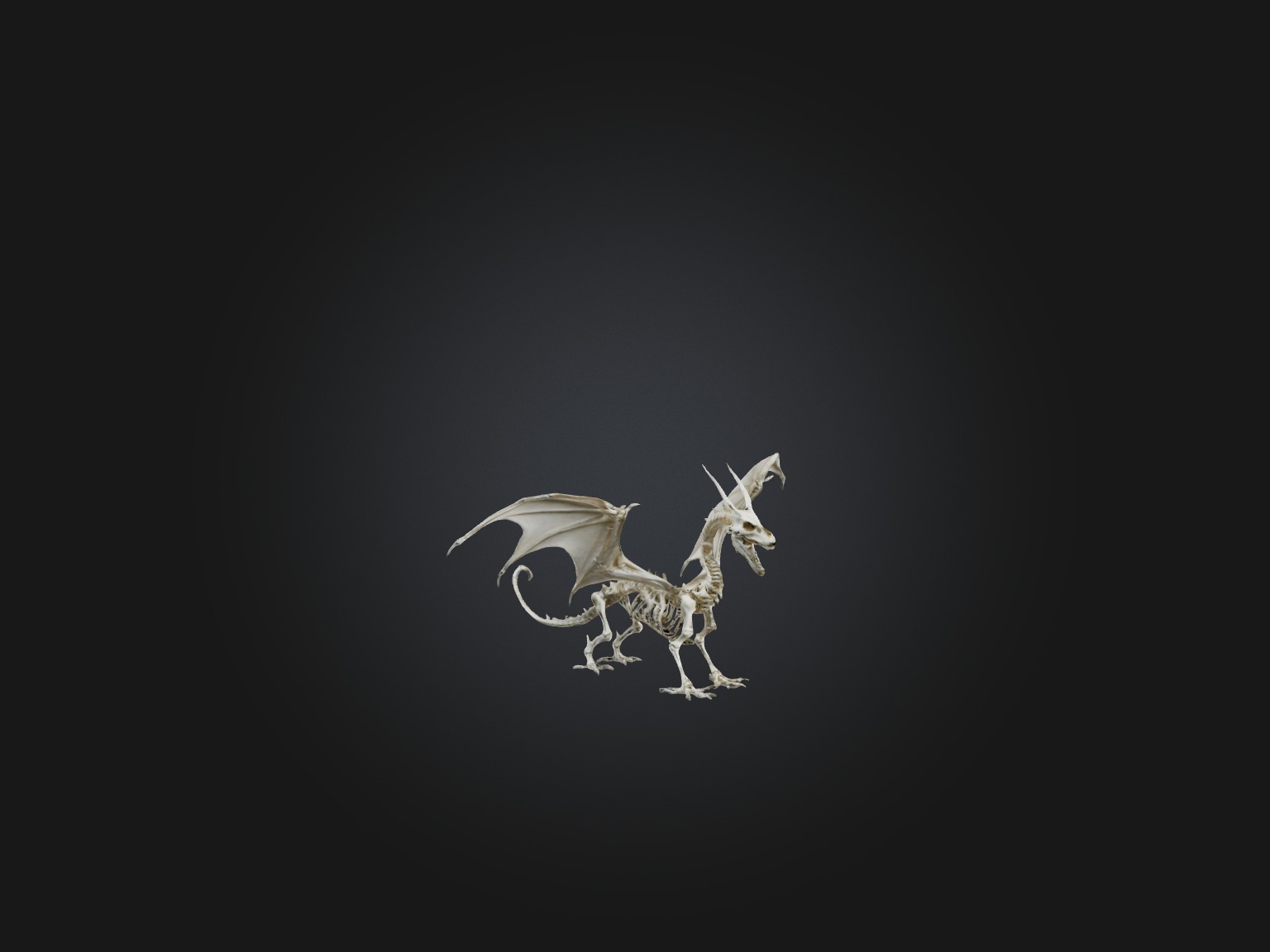Realistic Dragon Skeleton Model Low-poly 3D model_5