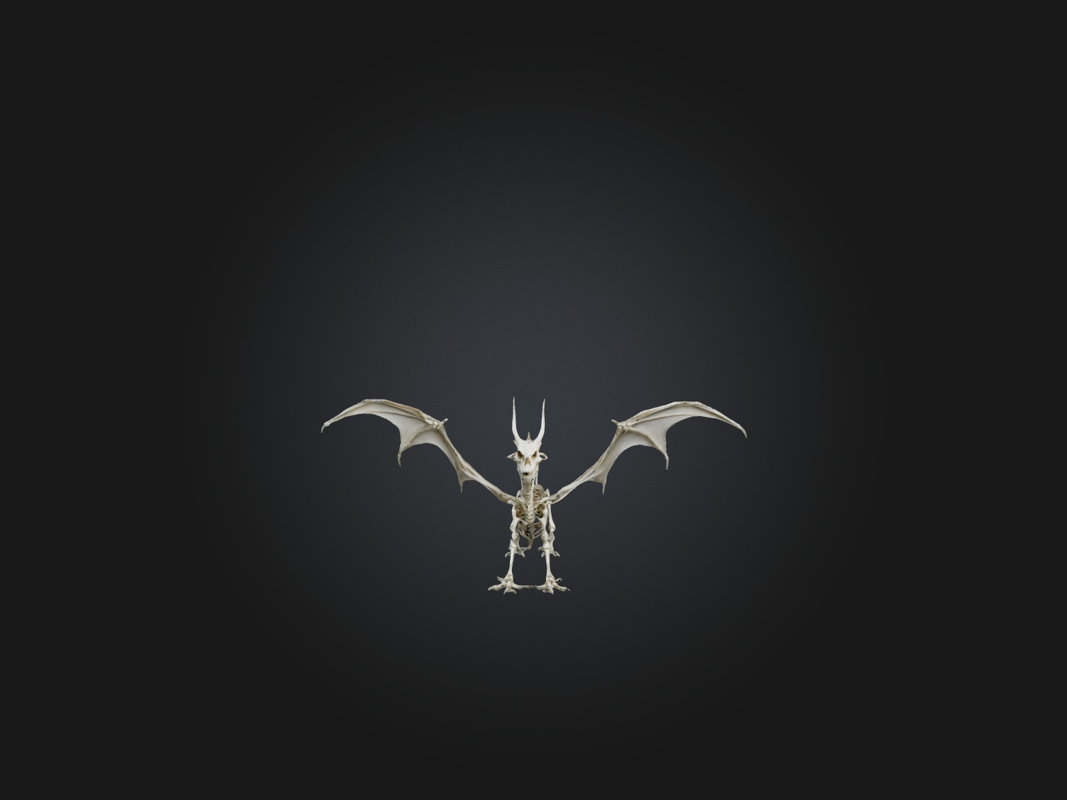 Realistic Dragon Skeleton Model Low-poly 3D model_3