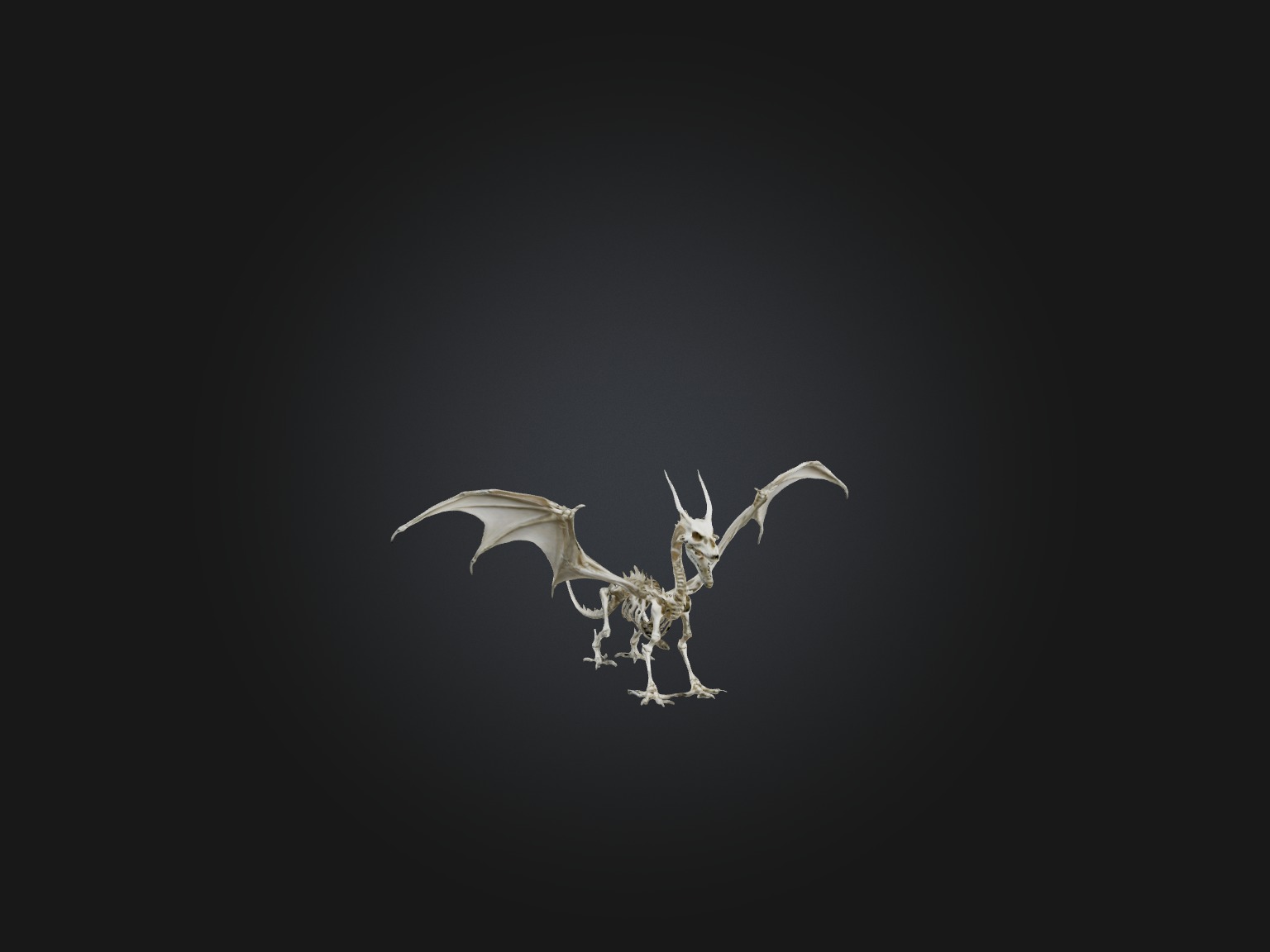Realistic Dragon Skeleton Model Low-poly 3D model_4