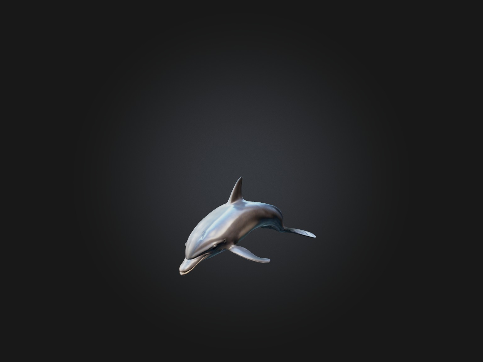 Realistic Dolphin Model Low-poly 3D model_6