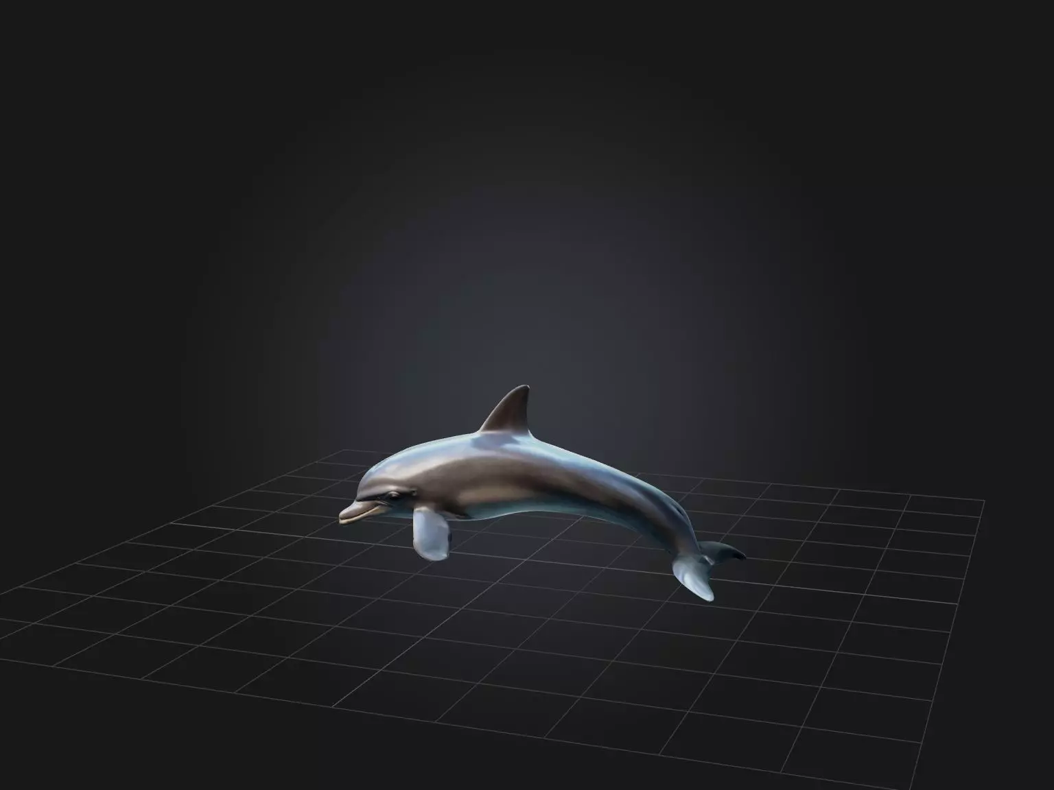 Realistic Dolphin Model Low-poly 3D model_0