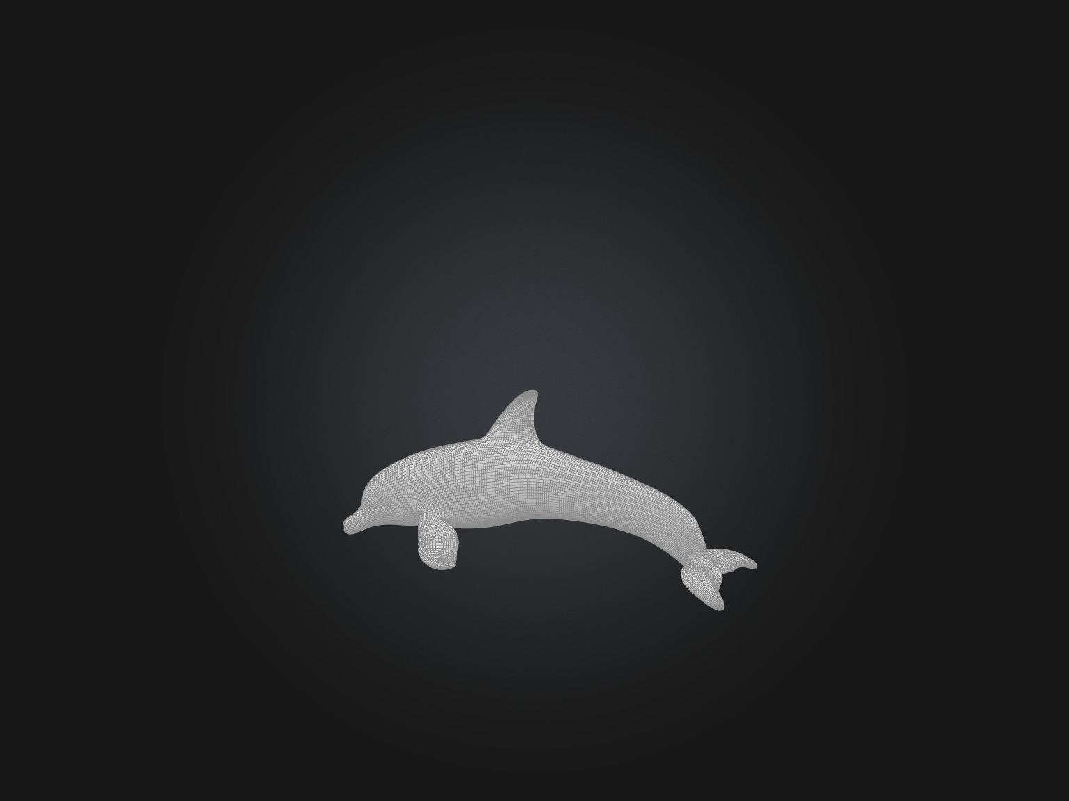 Realistic Dolphin Model Low-poly 3D model_2