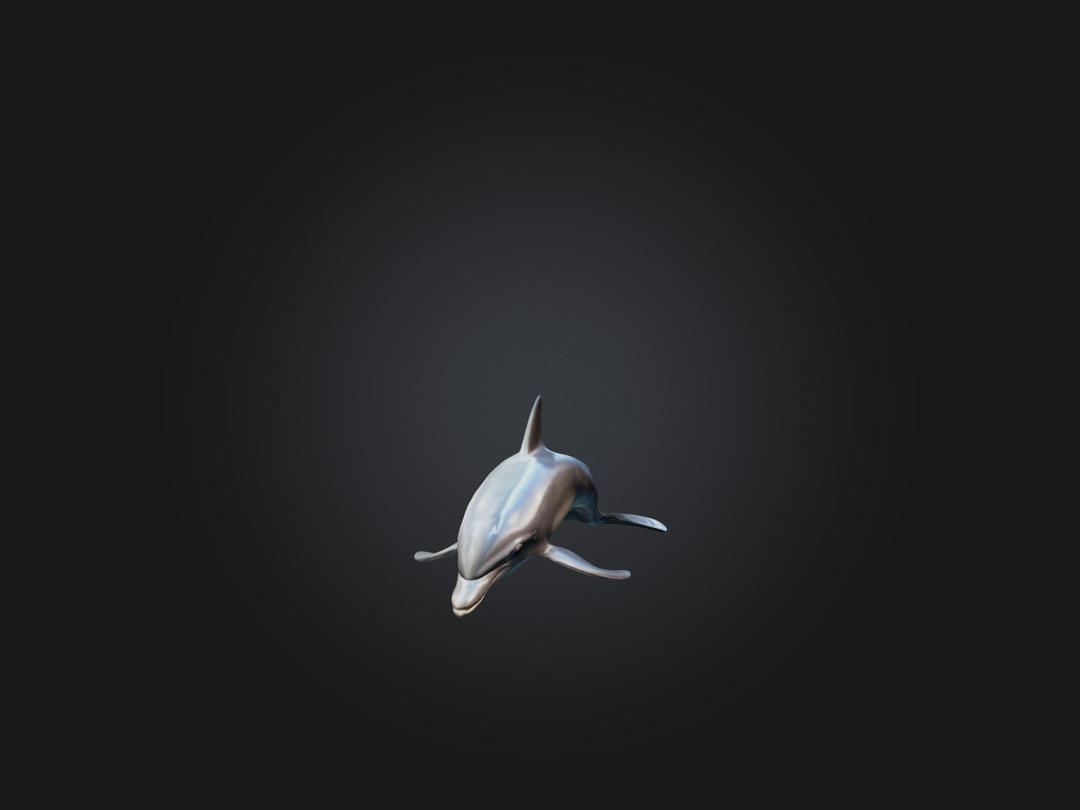 Realistic Dolphin Model Low-poly 3D model_4