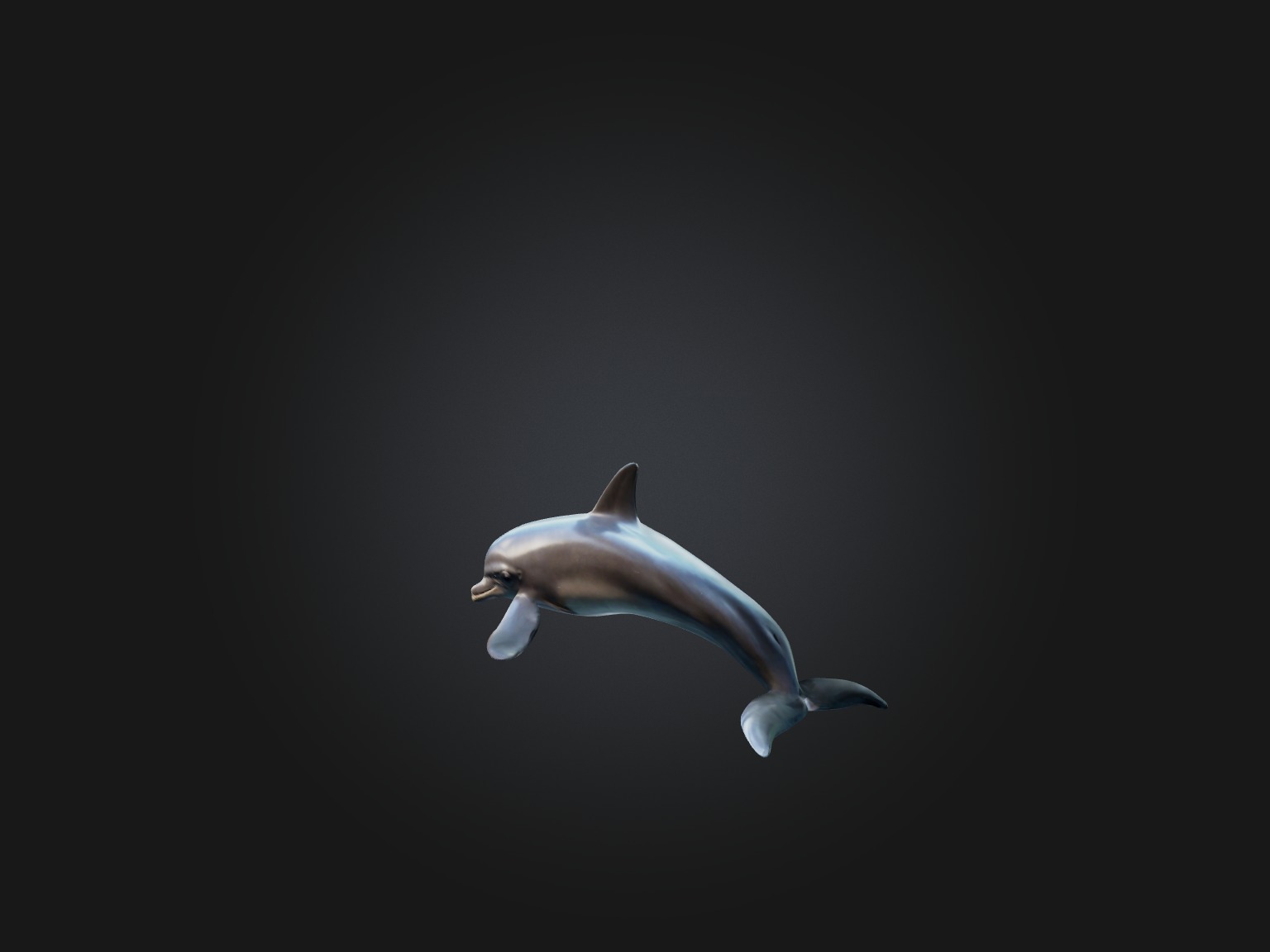 Realistic Dolphin Model Low-poly 3D model_1