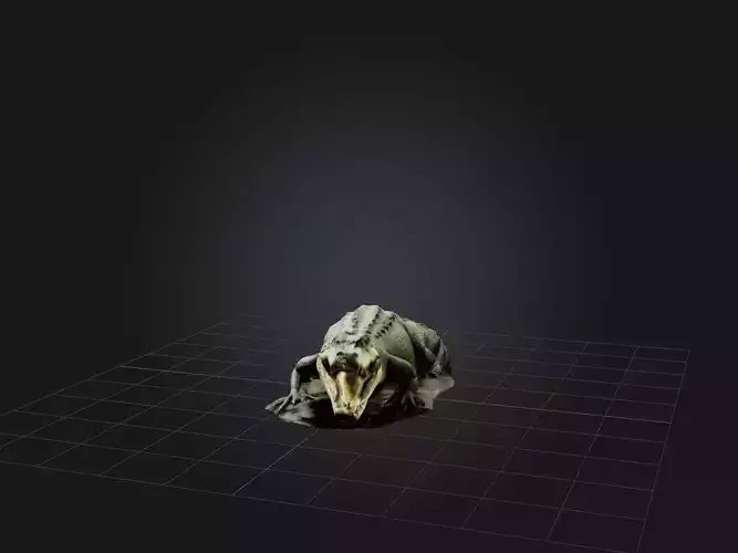 Realistic Crocodile Model