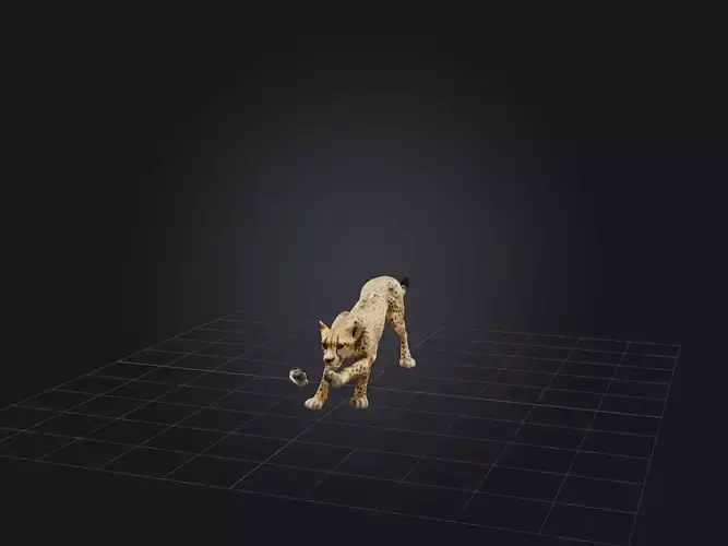Realistic Cheetah Model
