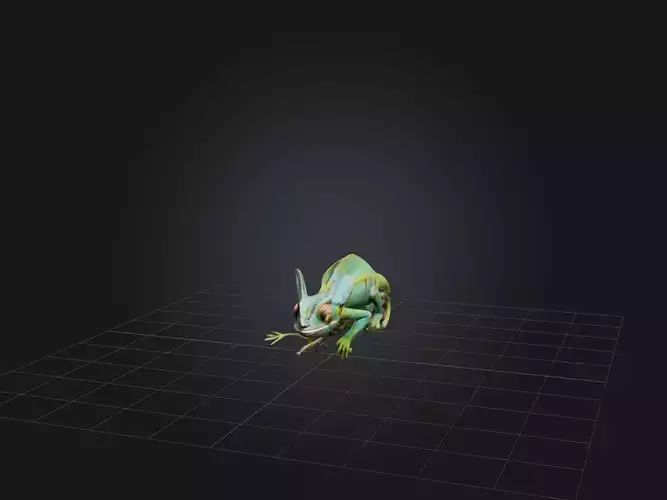 Realistic Chameleon Model