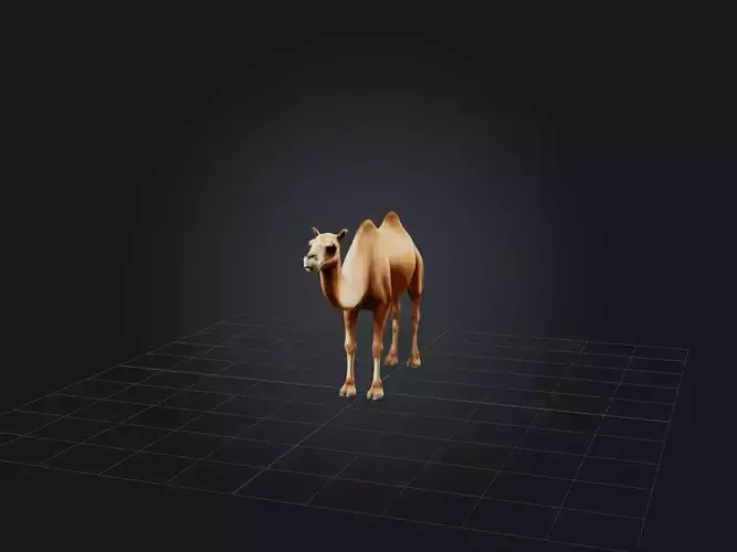 Realistic Camel Model