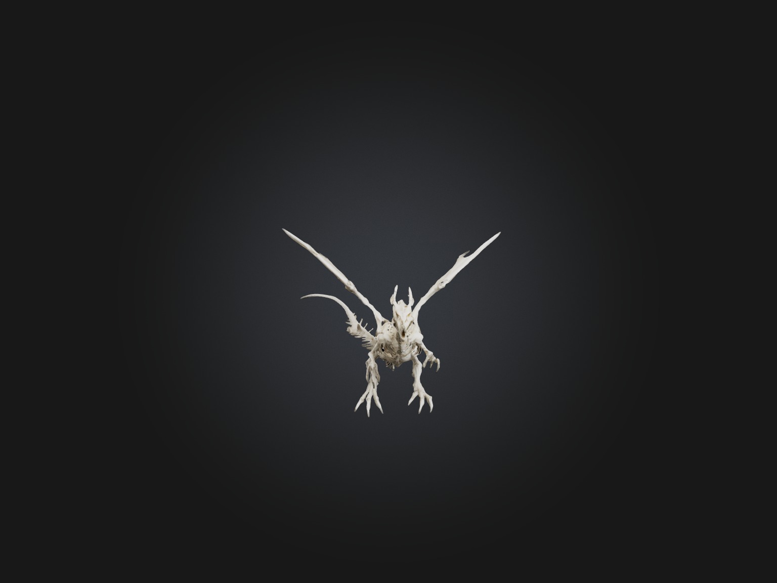 Realistic Bone Dragon Model Low-poly 3D model_4