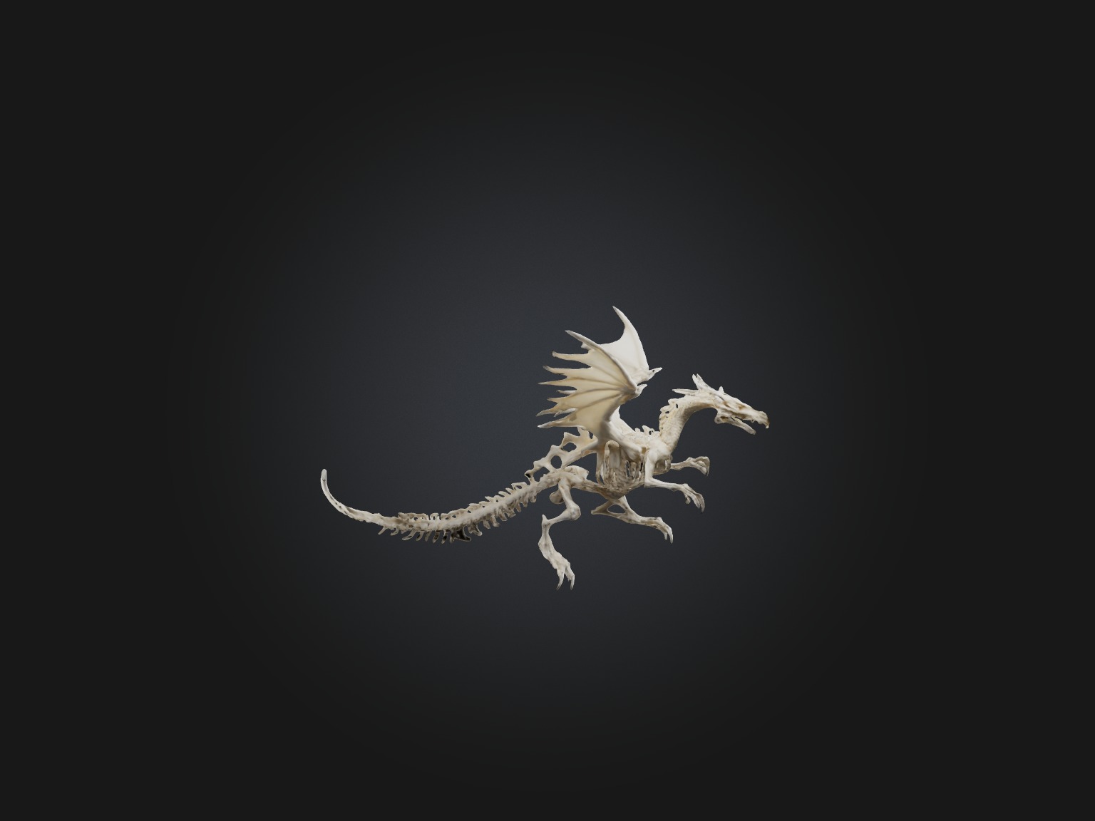 Realistic Bone Dragon Model Low-poly 3D model_7