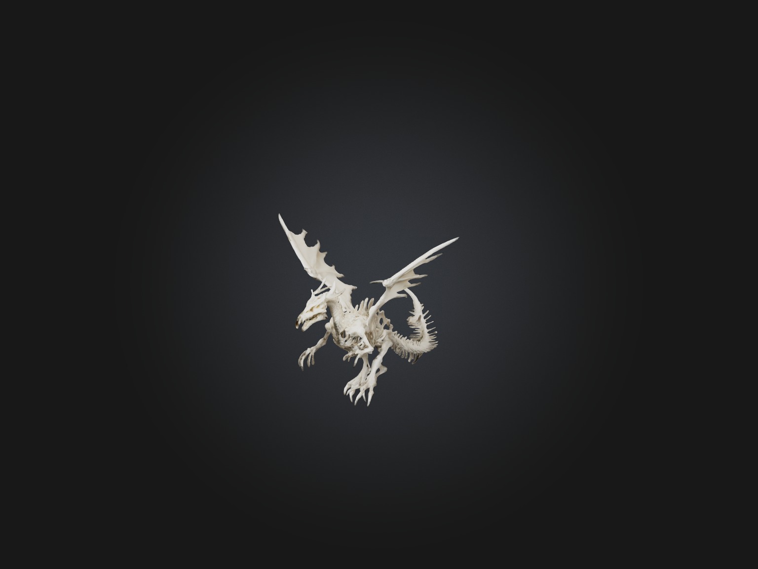 Realistic Bone Dragon Model Low-poly 3D model_1