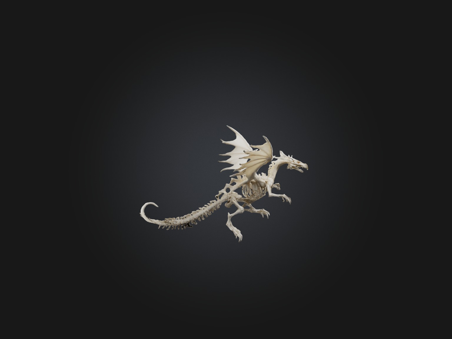 Realistic Bone Dragon Model Low-poly 3D model_8