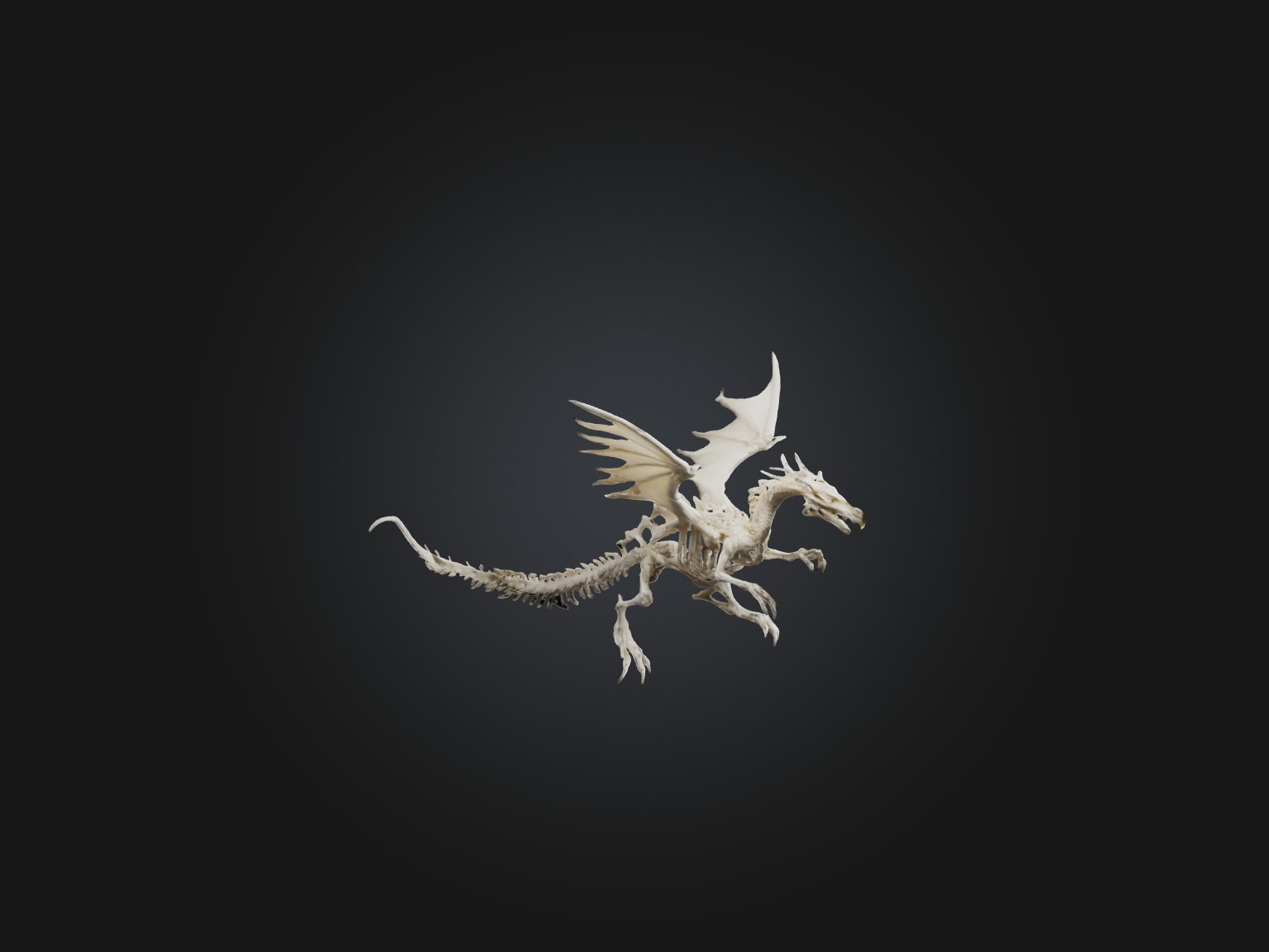 Realistic Bone Dragon Model Low-poly 3D model_6