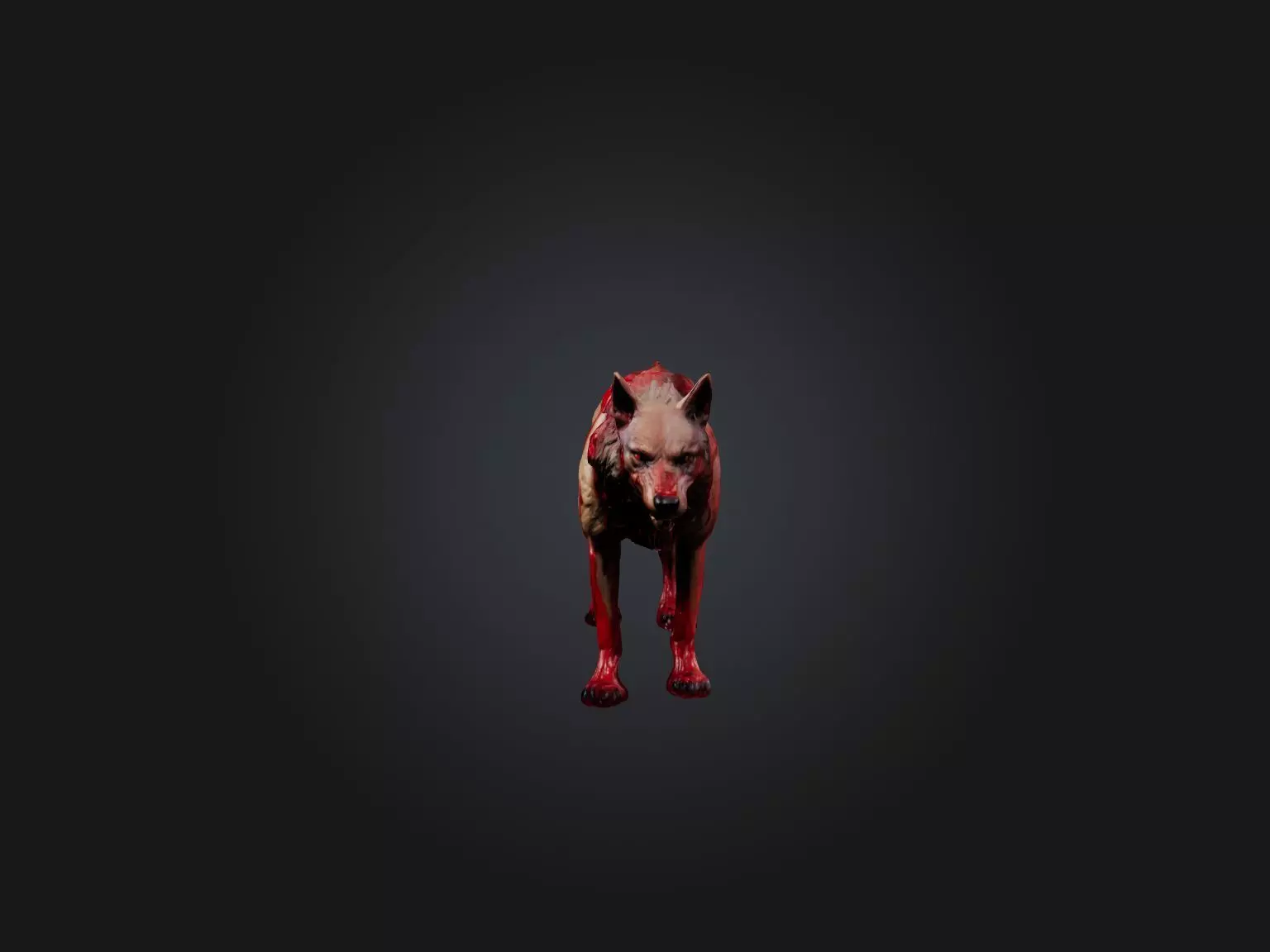 Realistic Bleeding Wolf Model Low-poly 3D model_0