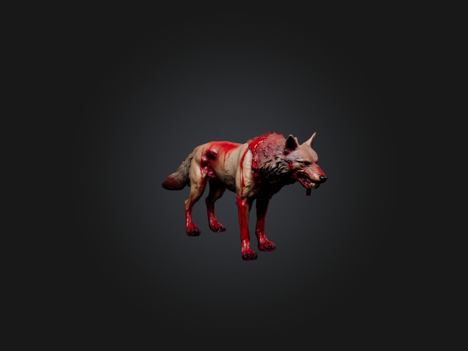 Realistic Bleeding Wolf Model Low-poly 3D model_1