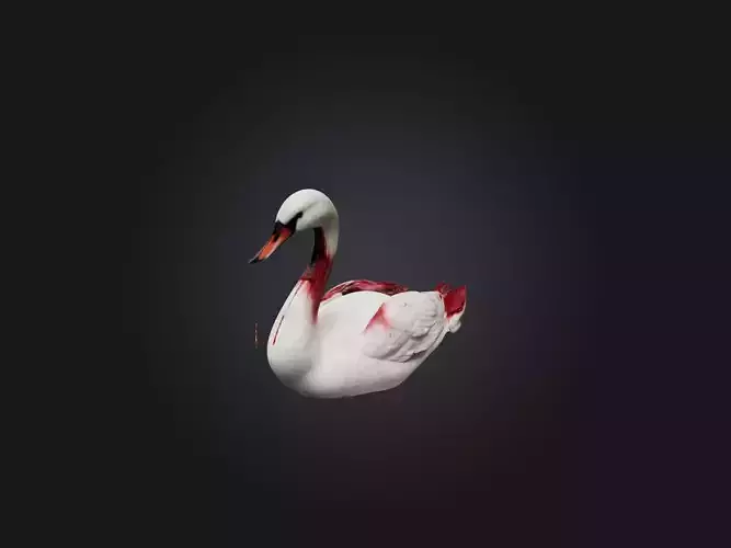 Realistic Bleeding Swan Model Low-poly 3D model