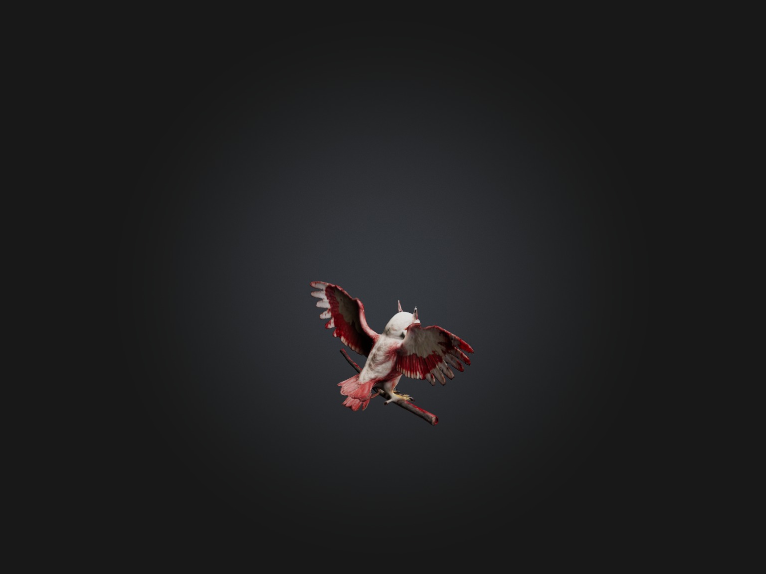 Realistic Bleeding Owl Model Low-poly 3D model_8
