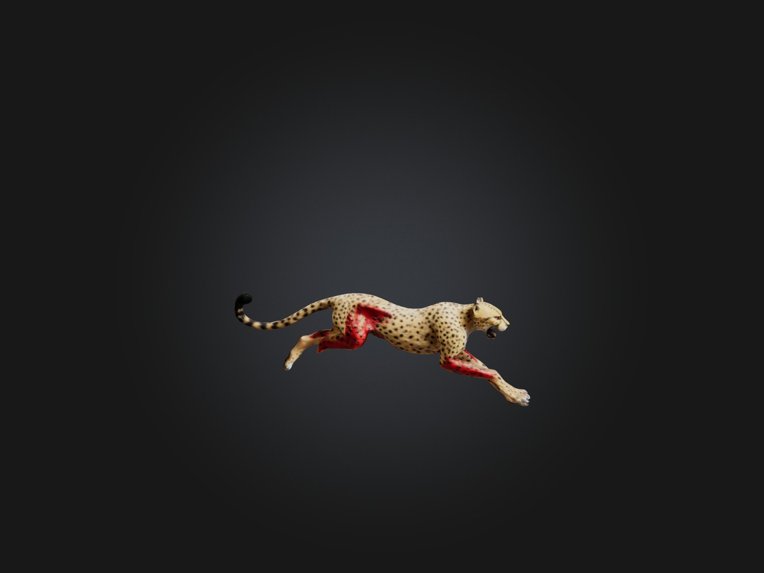 Realistic Bleeding Cheetah Model Low-poly 3D model_6