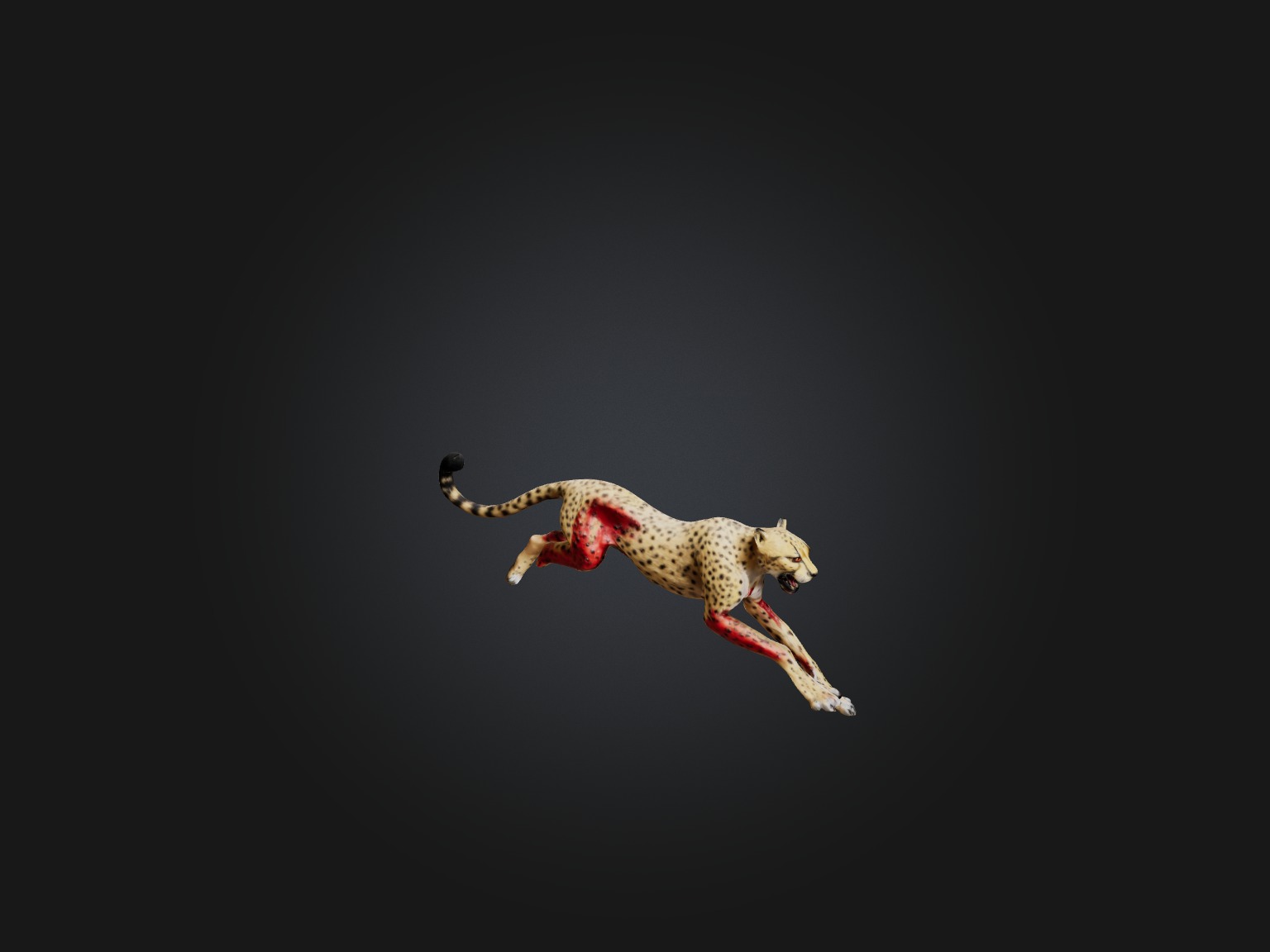 Realistic Bleeding Cheetah Model Low-poly 3D model_5