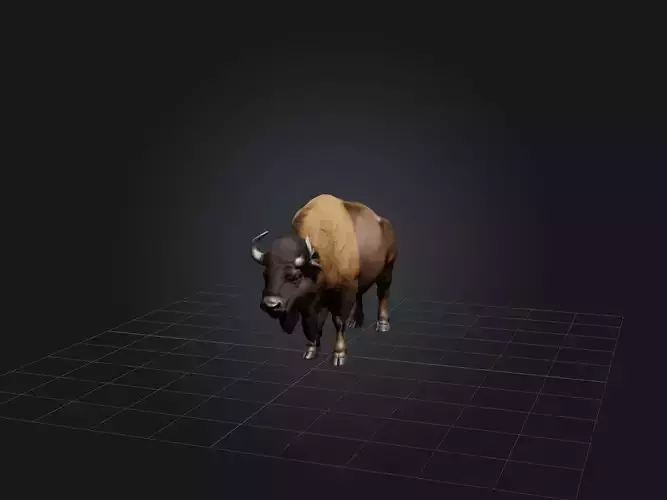 Realistic Bison Model Low-poly 3D model