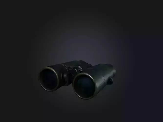 Realistic Binoculars Model
