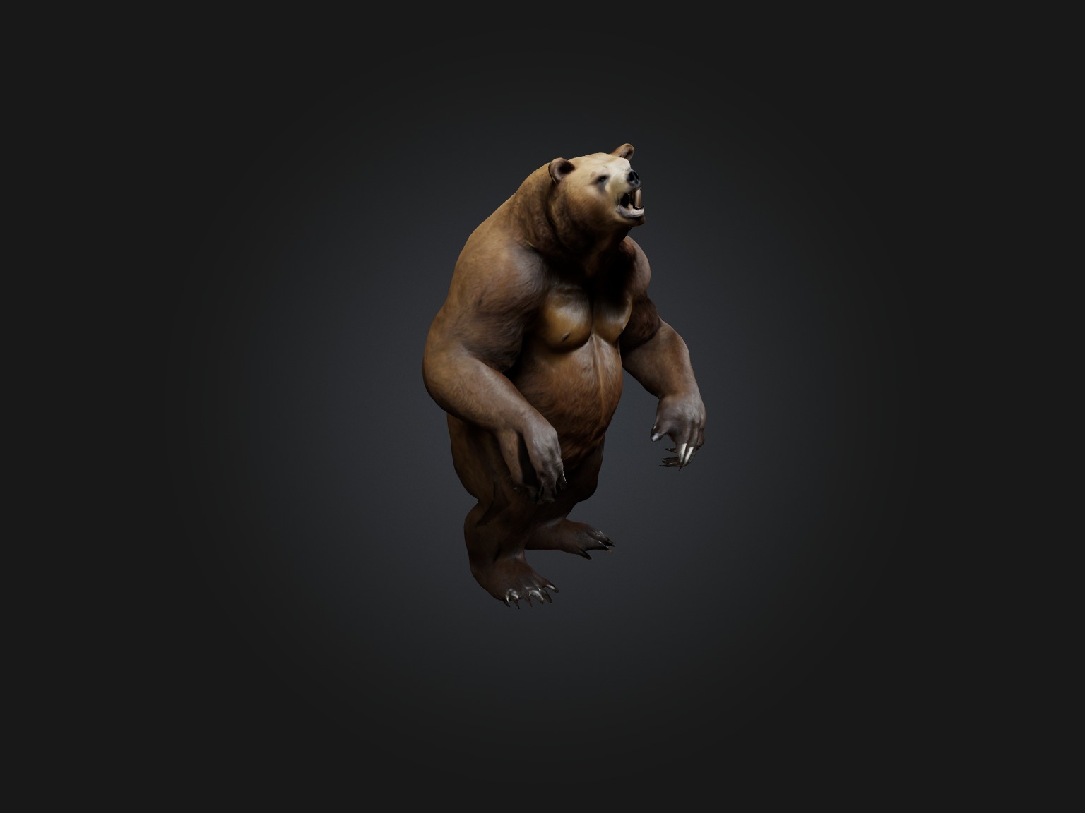 Realistic Bear Model Low-poly 3D model_6