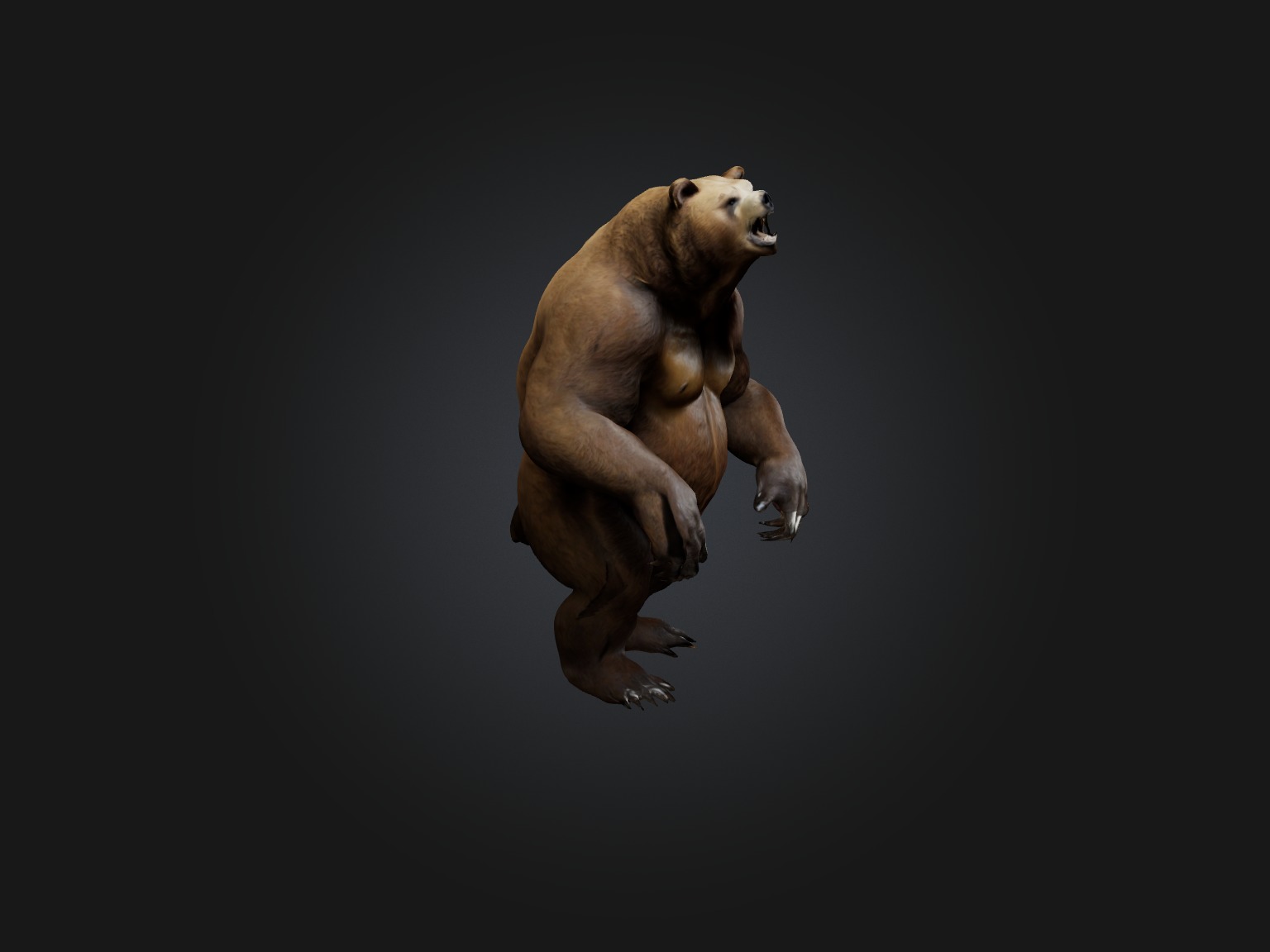 Realistic Bear Model Low-poly 3D model_4