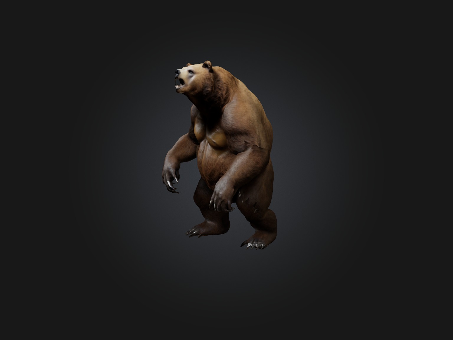 Realistic Bear Model Low-poly 3D model_1
