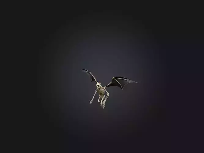 Realistic Bat Skeleton Model