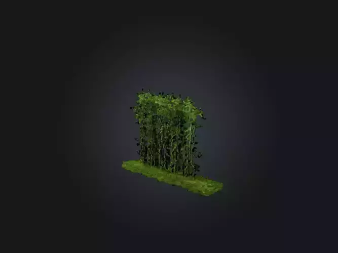 Realistic Bamboo Forest Model