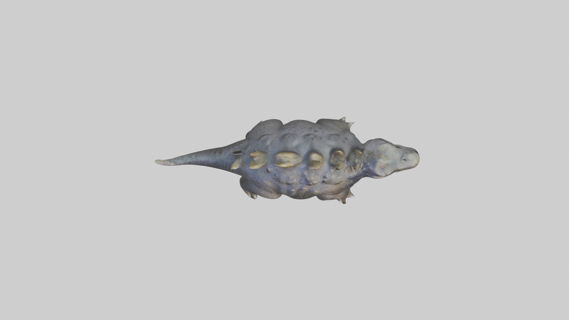 Realistic Ankylosaurus Model Low-poly 3D model_8