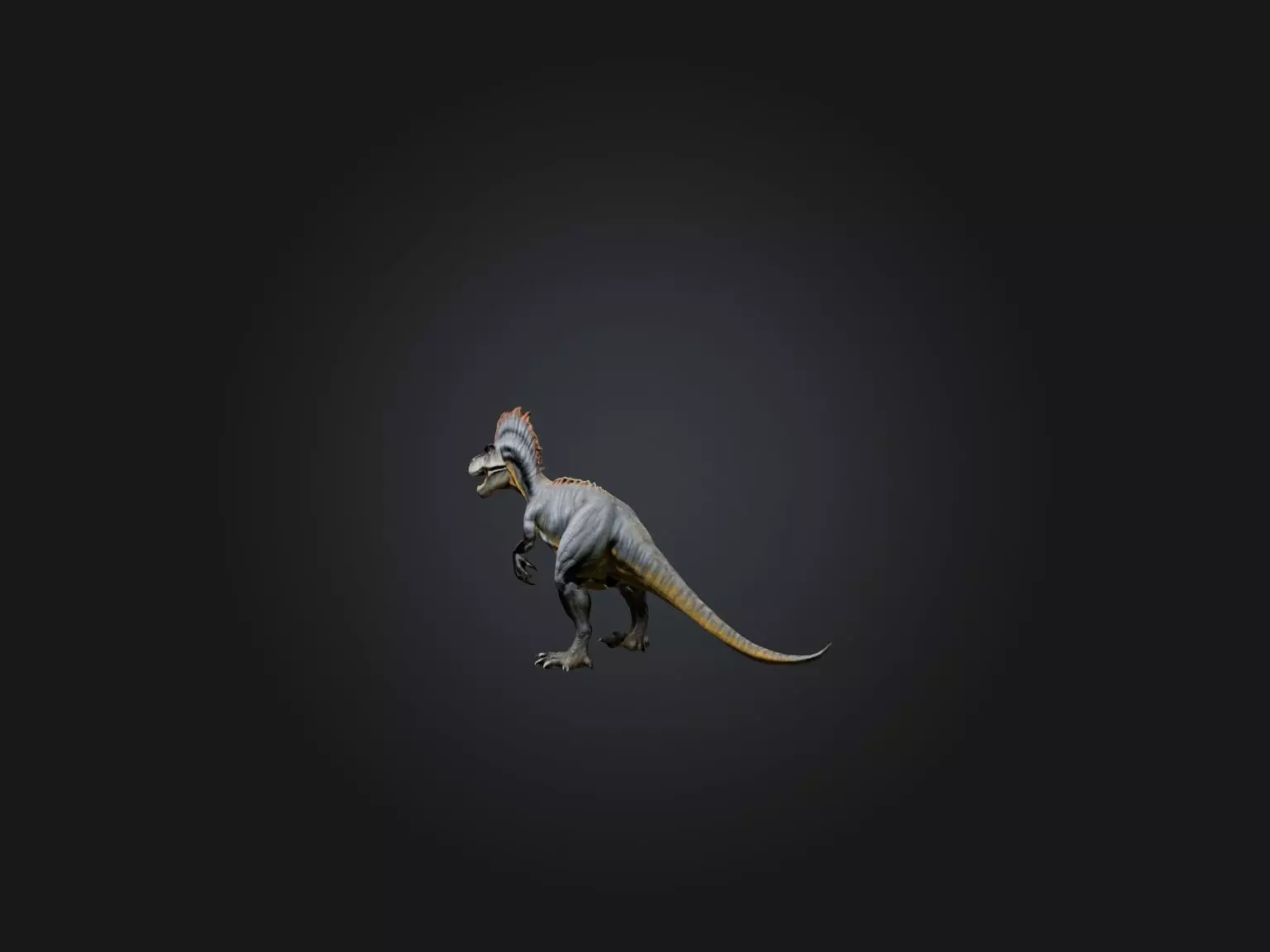 Realistic Allosaurus Model Low-poly 3D model_0