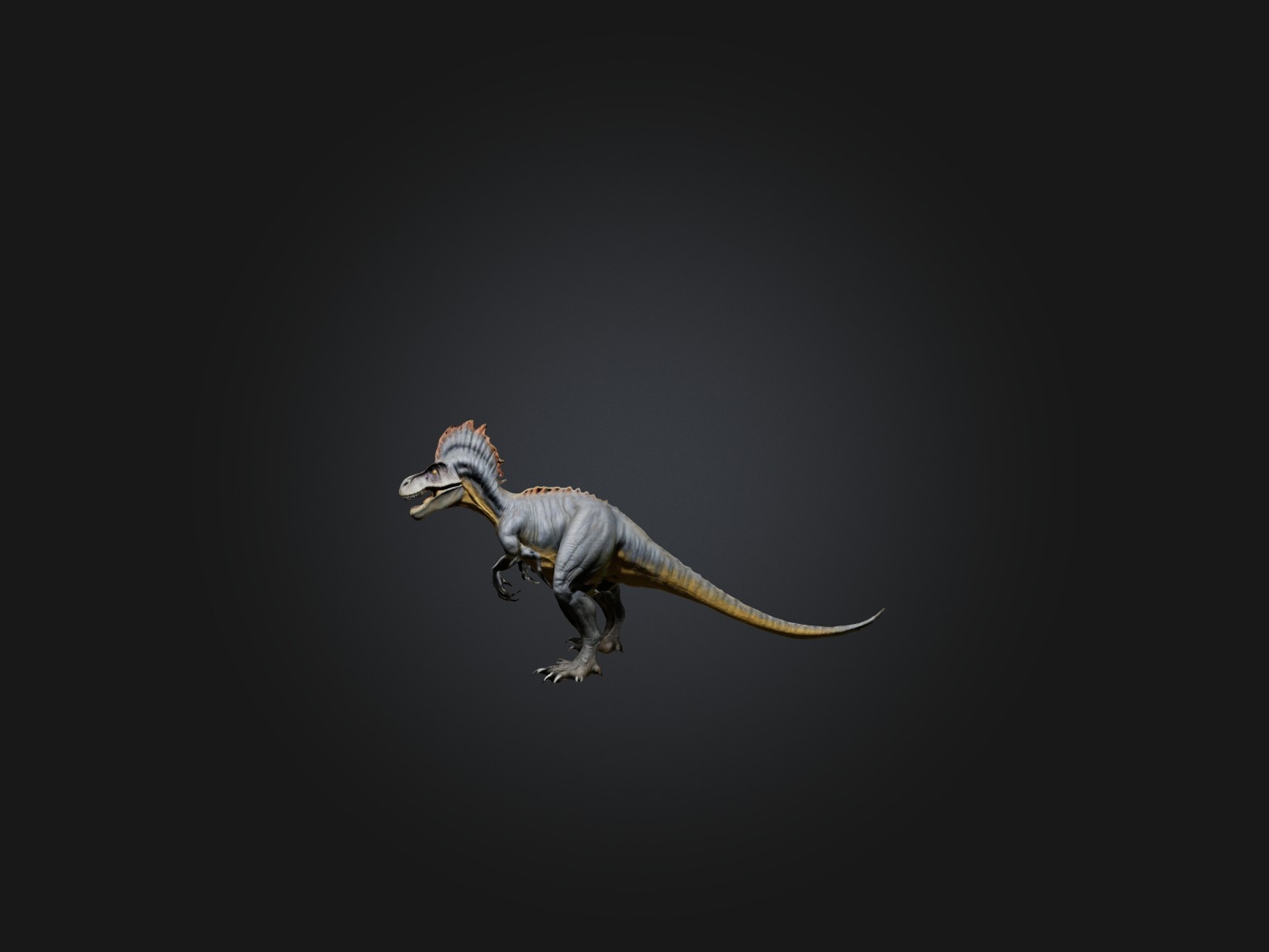 Realistic Allosaurus Model Low-poly 3D model_2