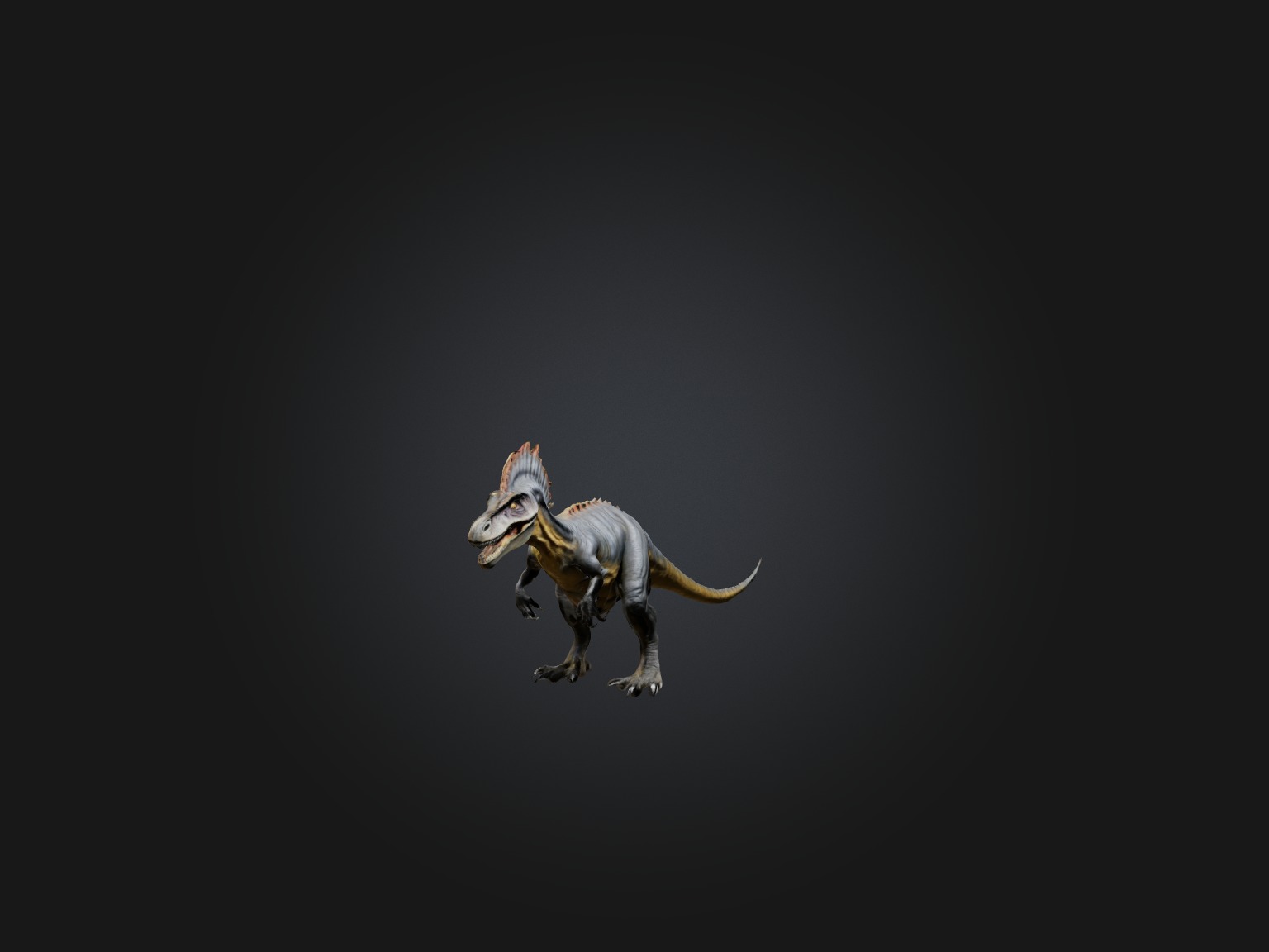Realistic Allosaurus Model Low-poly 3D model_4