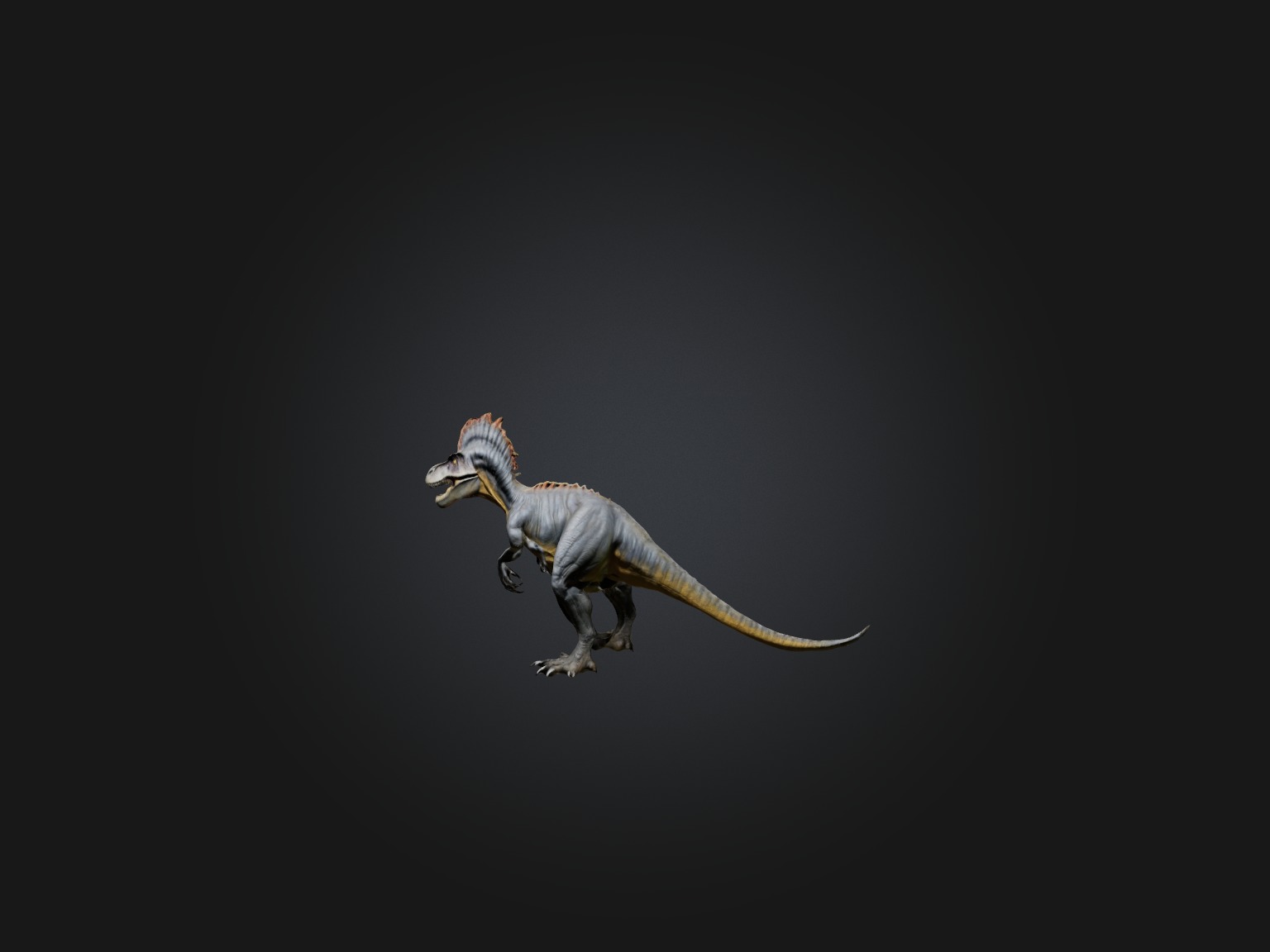 Realistic Allosaurus Model Low-poly 3D model_1